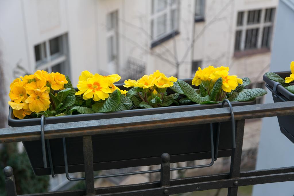 Apartament Decadent Art Deco Balcony In Old Town Praga
